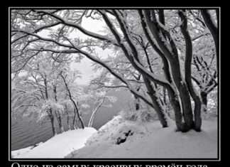 Статуси про зиму Вконтакте