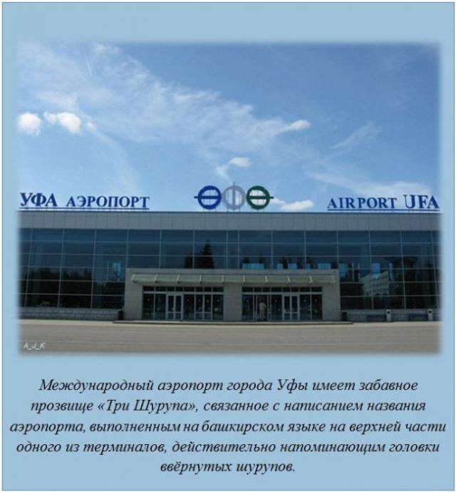 Пізнавальні факти на будь-який смак (20 фото)