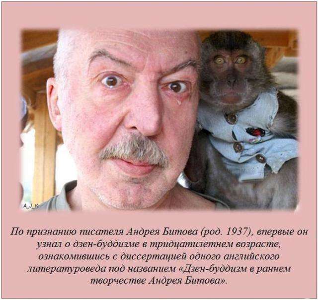 Пізнавальні факти на будь-який смак (20 фото)