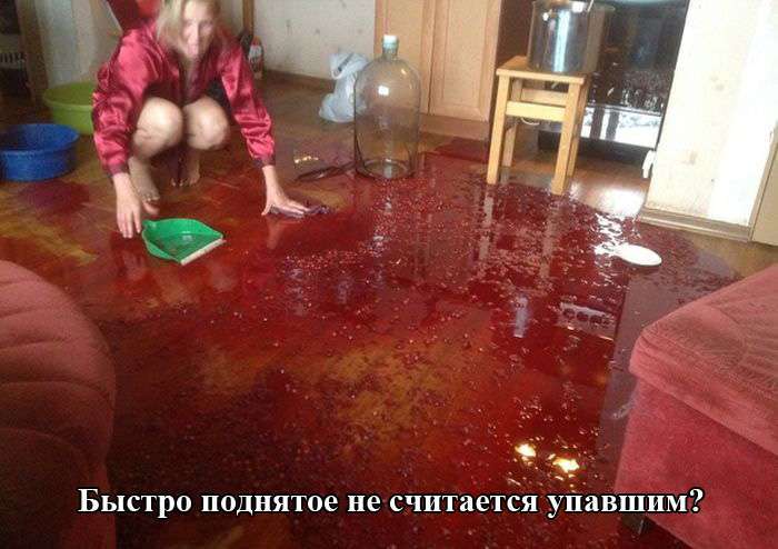 Підбірка прикольних фото №1104 (100 фото)