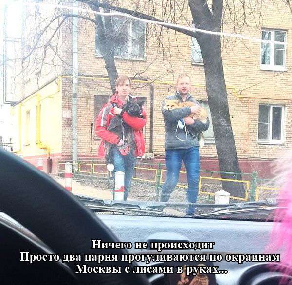 Підбірка прикольних фото №1105 (104 фото)