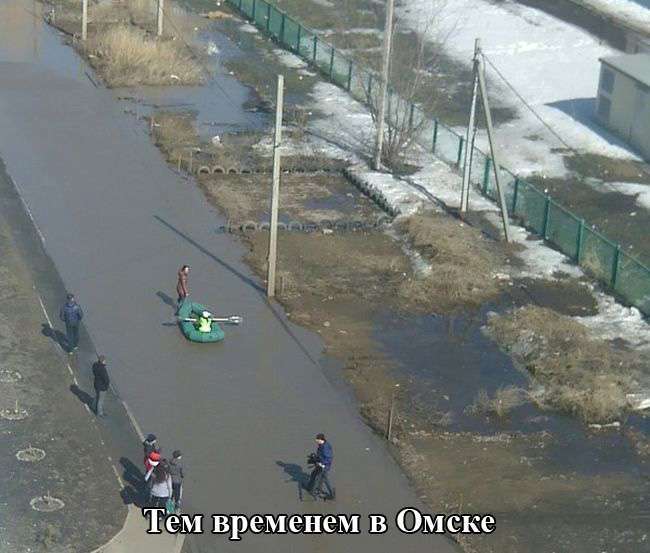 Підбірка прикольних фото №1105 (104 фото)