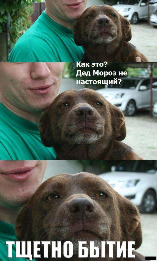 порція позитиву (90 фото)