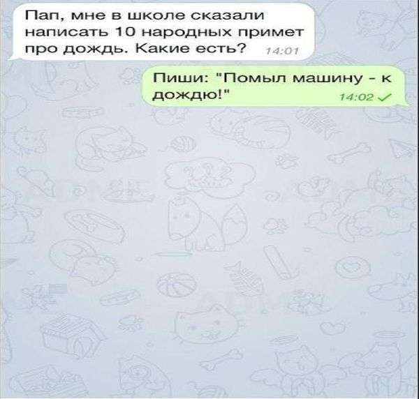 Прикольні СМС-ки (15 фото)