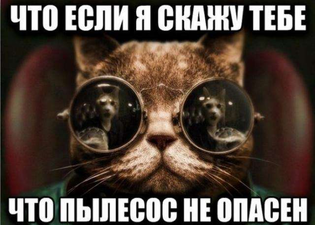 Прикольні картинки (100 фото)