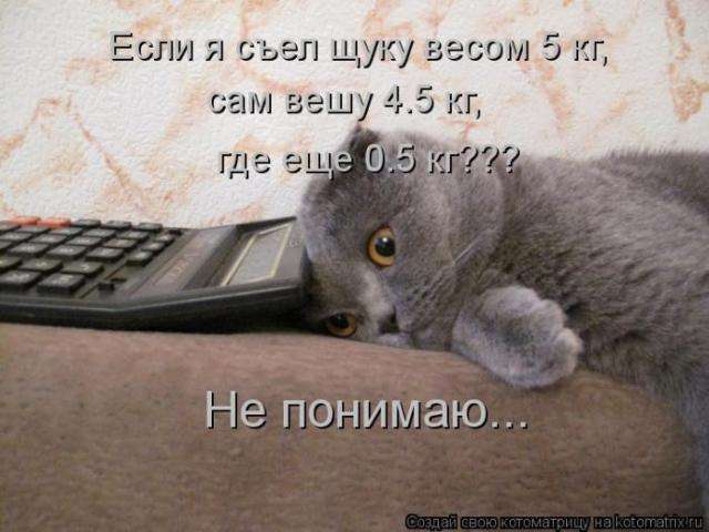 котоматриці (50 фото)