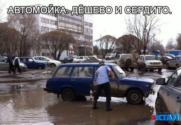 Прикольні картинки з підписами (30 фото)