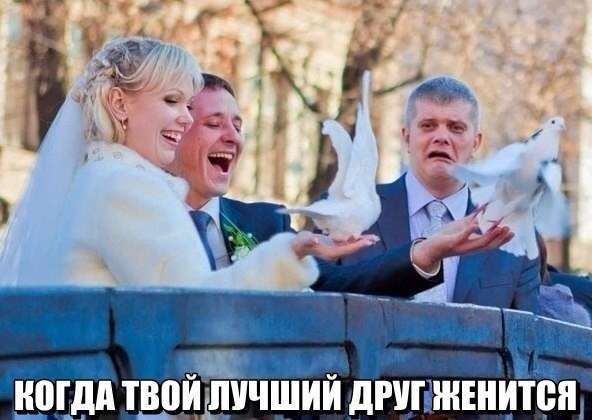 Прикольні картинки з підписами (30 фото)