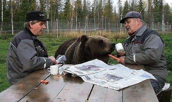 Де-то в Росії (6 фото)