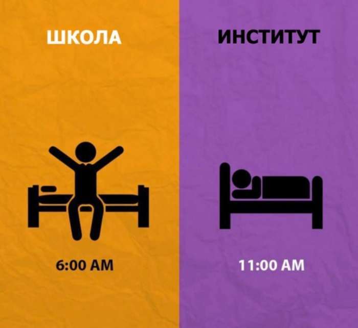 Школа vs інститут (8 фото)