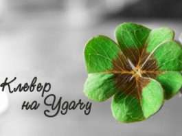 Четирехлістний конюшина – символ удачі