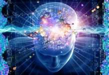 Цікаве і загадкове про нашому мозку