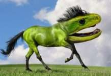 Неіснуюче тварина розповість про вашої особистості