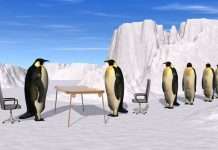 Підготовка до співбесіди. Поради для успішного інтервю з роботодавцем.