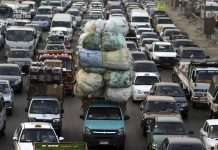 Люди-мурахи, або майстра перевезень (16 фото)