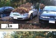 Прикольні розіграші (18 фото)