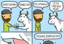 Смішні комікси (20 картинок)