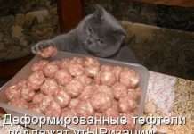 котоматриці (50 фото)