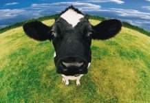 Підбірка прикольних фото №1106 (104 фото)