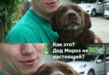 порція позитиву (90 фото)