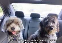 Підбірка прикольних фото №1108 (99 фото)