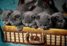 Красиві фотографії (45 фото)