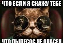 Прикольні картинки (100 фото)