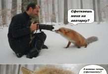 Кращий позитив дня у класній добірці фото (110 фото)