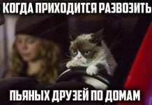 Прикольні картинки з підписами (30 фото)