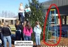 Прикольні фото (50 фото)