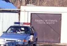 Смішні картинки з написами (41 фото)