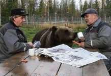 Де-то в Росії (6 фото)