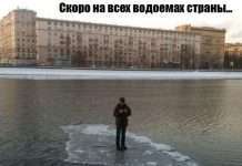 Відмінна добірка класних картинок (111 фото)