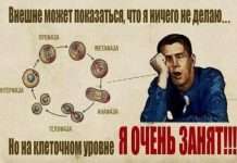 Прикольні фото (50 фото)