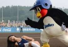 Японський куточок (16 фото)