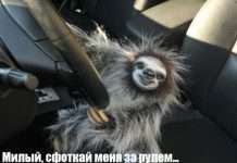 Прикольні фото (50 фото)