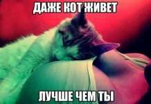 Підбірка прикольних фото №1121 (96 фото)