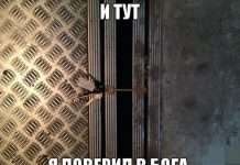 Класна колекція відмінних картинок і фотографій (110 фото)