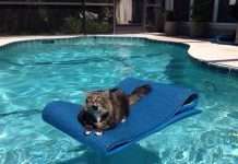 Підбірка прикольних фото №1123 (150 фото)