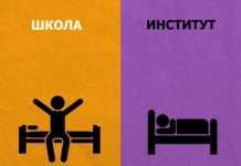 Школа vs інститут (8 фото)