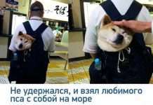 Підбірка прикольних фото №1125 (94 фото)