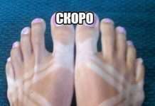 Прикольні фото (50 фото)