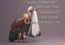 Безкоштовні статуси про стерву