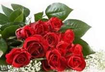 День соцпрацівника – поздоровлення у віршах і прозі