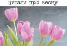 Кращі прикольні статуси з весною