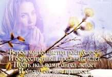 Прикольно привітати з вербною неділею