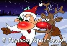 Смішні прикольні поздоровлення з днем поцілунку