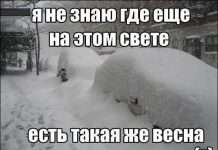 Смішні статуси про весну