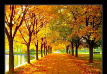 Статуси про осінь Вконтакте