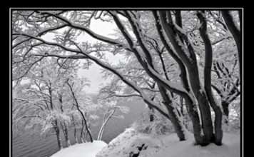 Статуси про зиму Вконтакте